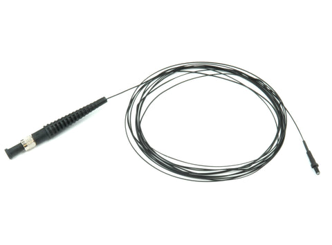Excitation fiber for the mini2P