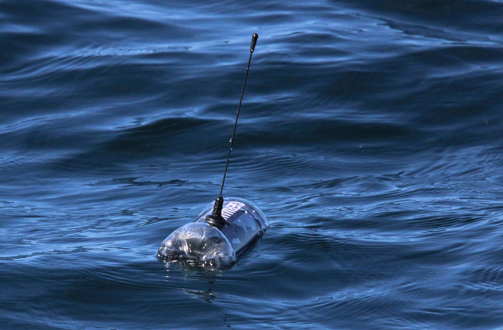 a cylindrical semi-sunk object with a antenna like structure