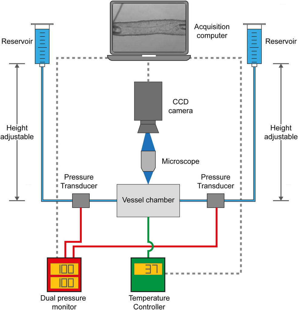 Vaso tracker working illustration